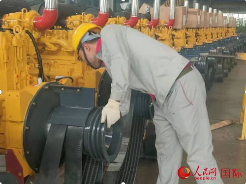 这里是新疆 劳动创造美好生活——畜牧渔业饲料销售篇