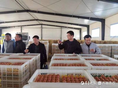 逯岩秘书长深入莘县调研 畜牧渔业饲料销售现状与发展机遇