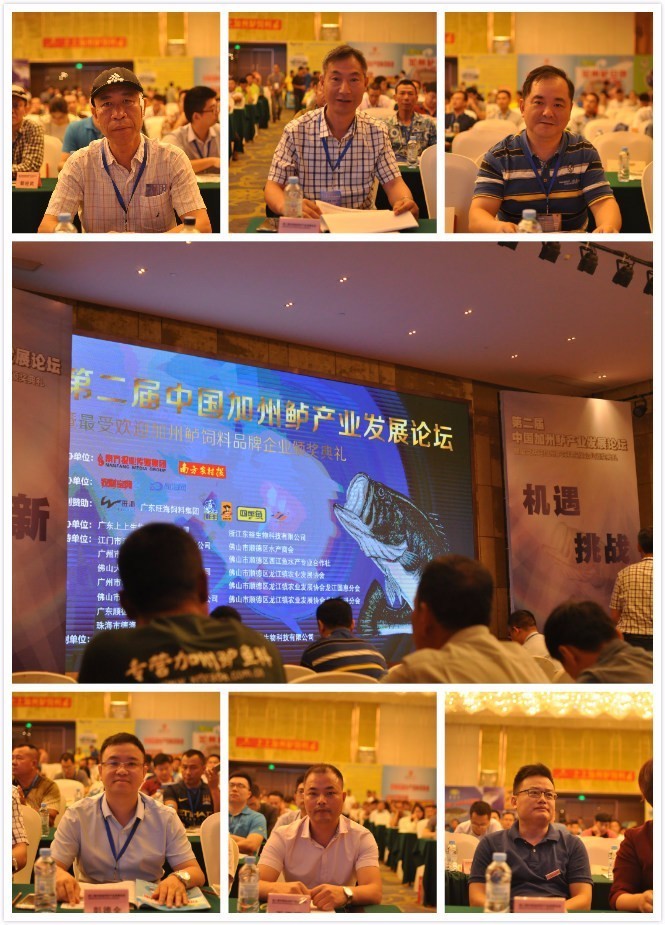 加州鲈价飙升，饲料行业面临机遇与挑战